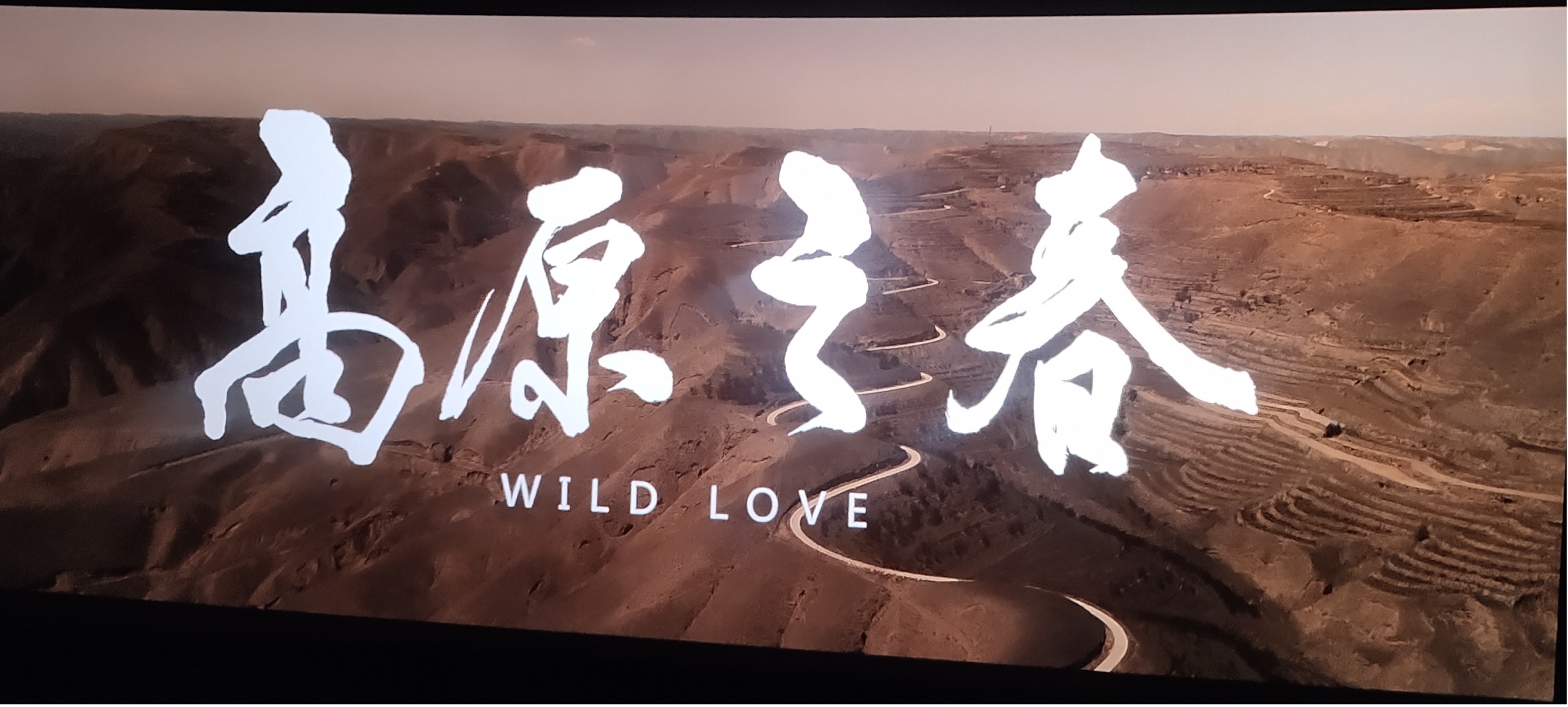 1710381599909734.jpg 1710381599909734.jpg