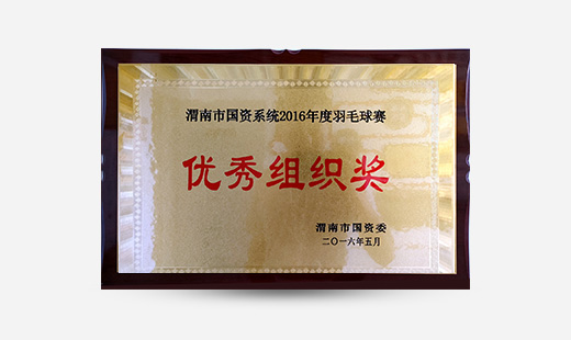 渭南市國資系統2016年度羽毛球賽優(yōu)秀組織獎