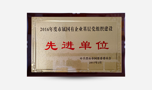 2016年度市屬?lài)衅髽I(yè)基層黨組織建設先進(jìn)單位