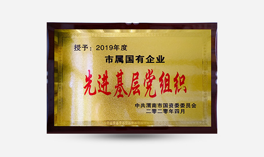 授予：2019年度市屬?lài)衅髽I(yè)先進(jìn)基層黨組織