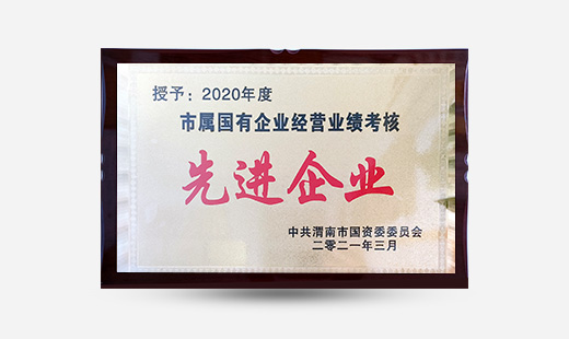 授予：2020年度市屬?lài)衅髽I(yè)經(jīng)營(yíng)業(yè)績(jì)考核先進(jìn)企業(yè)