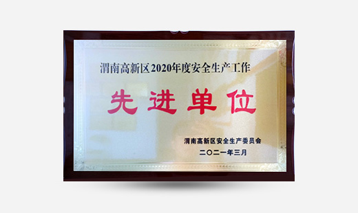 渭南高新區2020年度安全生產(chǎn)工作先進(jìn)單位