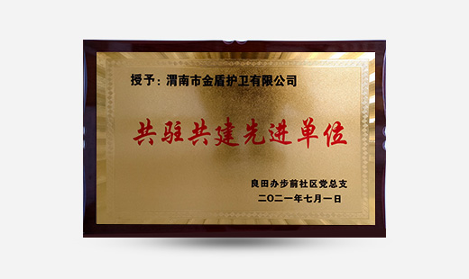 授予：渭南市金盾護衛有限公司共駐共建先進(jìn)單位